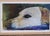 2000 - 2009 Deborah Males Original Dog Portrait in Pastel For Sale - Image 5 of 14