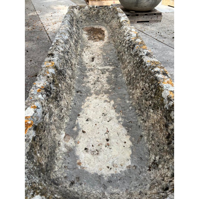 A Long and Low 18th Century Carved Limestone Trough From the South of France For Sale - Image 12 of 13