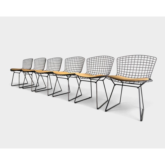 Set of six vintage Model 420 Side Chairs designed by Harry Bertoia for Knoll International. Originally designed in 1952,...
