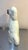 English Antique Extra-Large Staffordshire Dog For Sale - Image 3 of 7