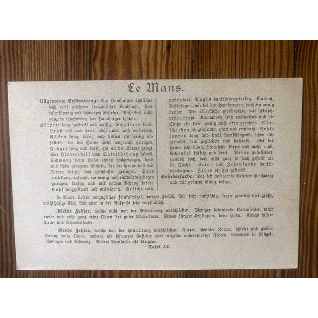 Authentic Collection of 19th Century Kramer Chicken Chromolithographs in Color For Sale In West Palm - Image 6 of 9