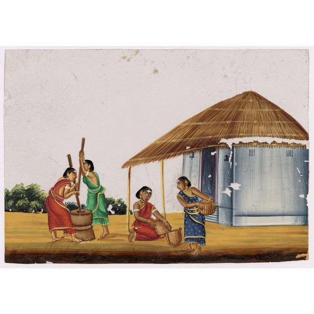 Indian Company School Women Husking the Rice, 1800s, Gouache on Paper For Sale - Image 6 of 9
