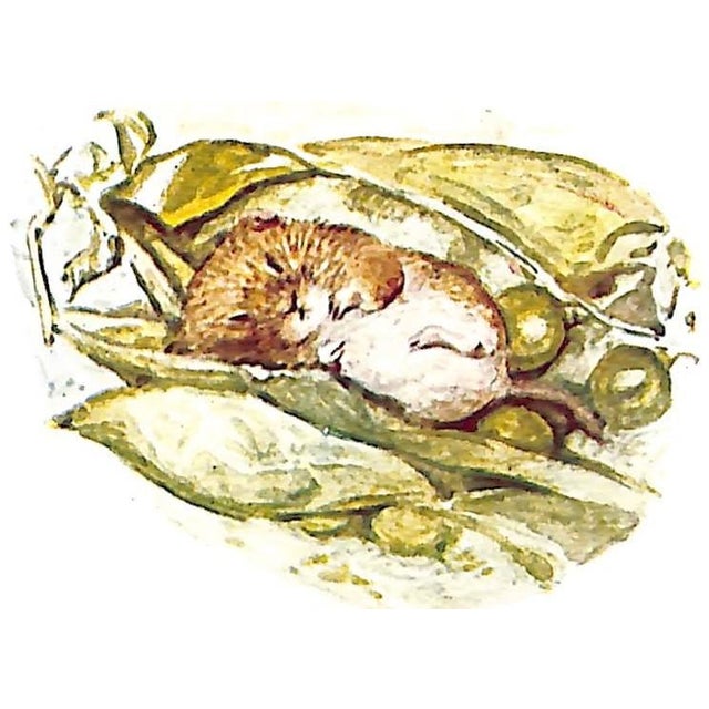 Paper "The Tale of Johnny Town-Mouse" 1946 Potter, Beatrix For Sale - Image 7 of 7