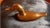 1970s Solid Brass Duck Figurine Made in India For Sale - Image 9 of 9