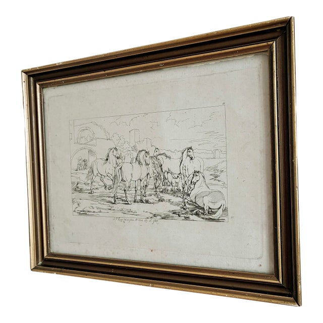 Antique Original Horse Etching, Circa 1700: Framed Equestrian Print For Sale