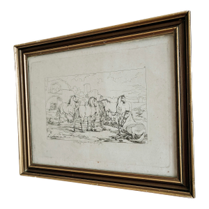 Antique Original Horse Etching, Circa 1700: Framed Equestrian Print