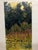 *** ABOUT THIS PAINTING *** * TITLE: "Tropics" * ARTISTS: Constantinople Adolf Markovich * SIZE: 15x29 cm/'5.90x11.41...