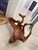 Arts & Crafts Contemporary Burgundy Teak Bench For Sale - Image 3 of 3