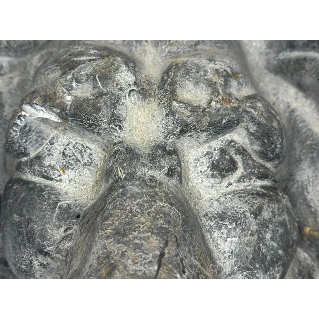 Victorian Renaissance Revival Lion Fountain Outdoor Spout Finial Sculpture British, Circa 1890 For Sale - Image 6 of 16