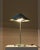 Vintage Verdigris Copper Alloy Brutalist Star Table Lamp For Sale In Sacramento - Image 6 of 14