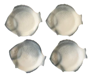 Vintage Ceramic Fish Plates