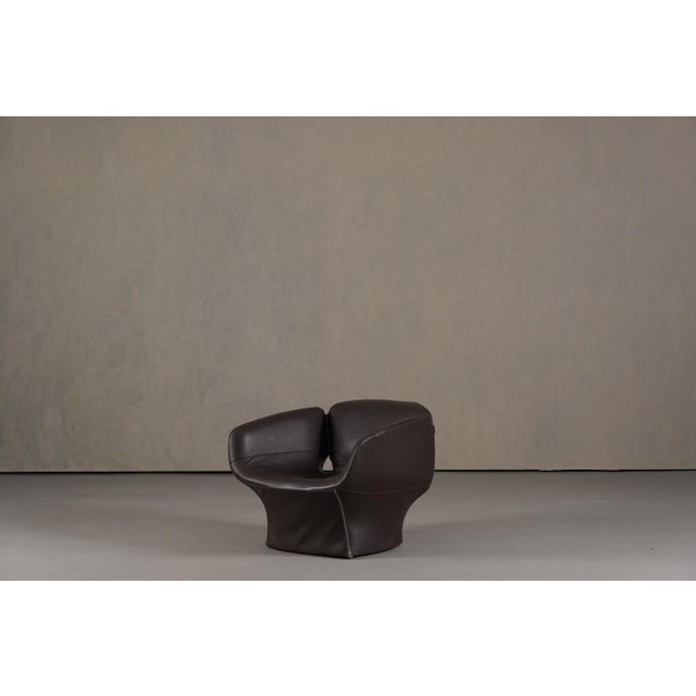 Animal Skin Bloomy Armchair by Patricia Urquiola for Moroso, Italy, 2000s For Sale - Image 7 of 15