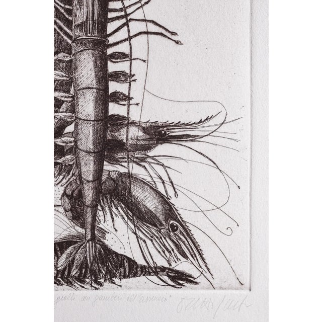 Modern Angela Occhipinti, Yellow Bull Horns with Absinthe Prawns: Author's Proof, 1950, Engraving For Sale - Image 3 of 4