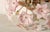 Italian Vintage Murano Ceiling Light Pink Flowers, 1970s For Sale - Image 3 of 13