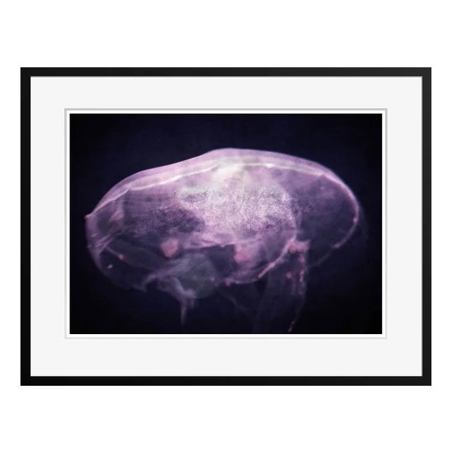 Stuart Möller, the Dreaming, 2013, Colour Photograph For Sale