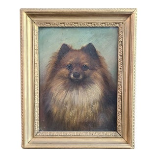Small Antique 19th Century Oil Painting Portrait of a Pomeranian Dog For Sale