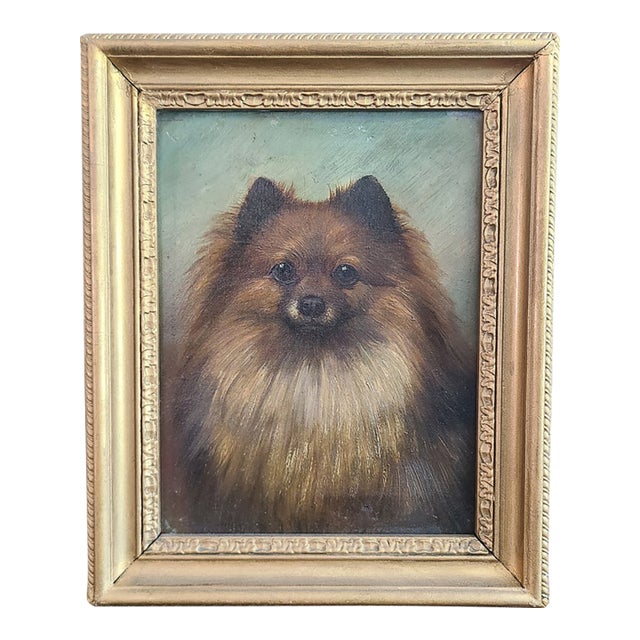 Small Antique 19th Century Oil Painting Portrait of a Pomeranian Dog For Sale