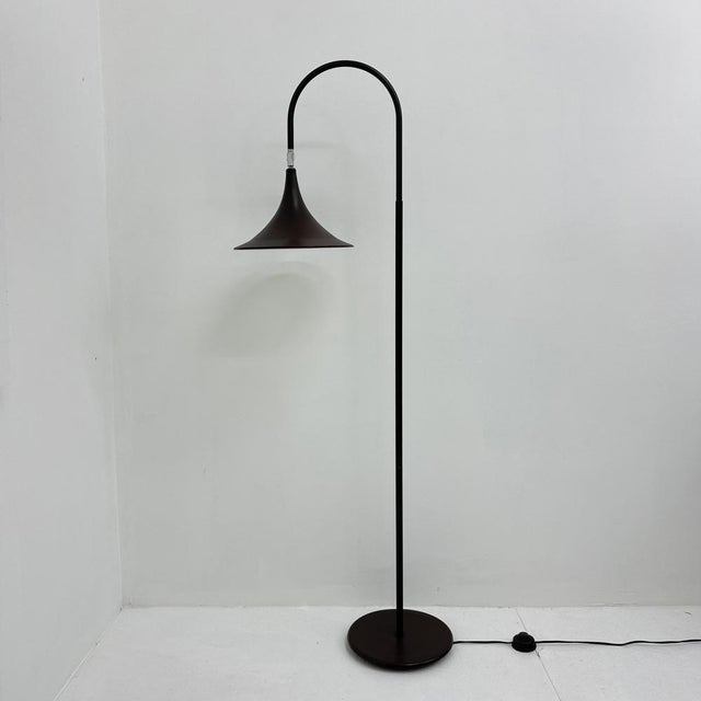 Minimalist Dutch Hala Zeist Trumpet Brown Floor Lamp, 1970s For Sale - Image 12 of 18