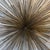 1970s Mid-Century Modern Curtis Jeré Brass Urchin Wall Sculpture For Sale - Image 6 of 7