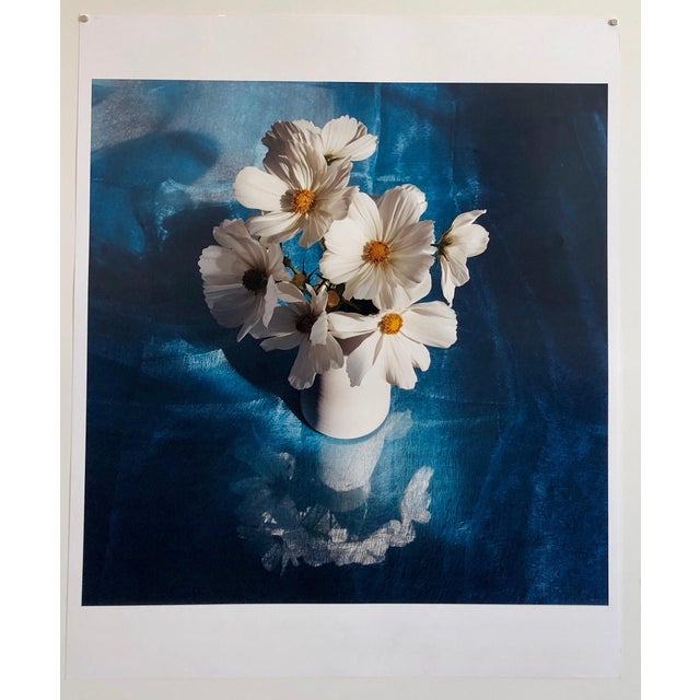 Peter C. Jones 1, White Cosmo, Cocktail, Large Format Photo 24X20 Color Photograph Beach House, 2004 For Sale In Miami - Image 6 of 6