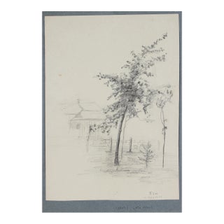 "Elm" 20th Century Graphite For Sale
