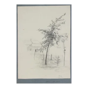 "Elm" 20th Century Graphite