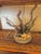 Late 20th Century Vintage 1980s Fish Display Statue For Sale - Image 5 of 6