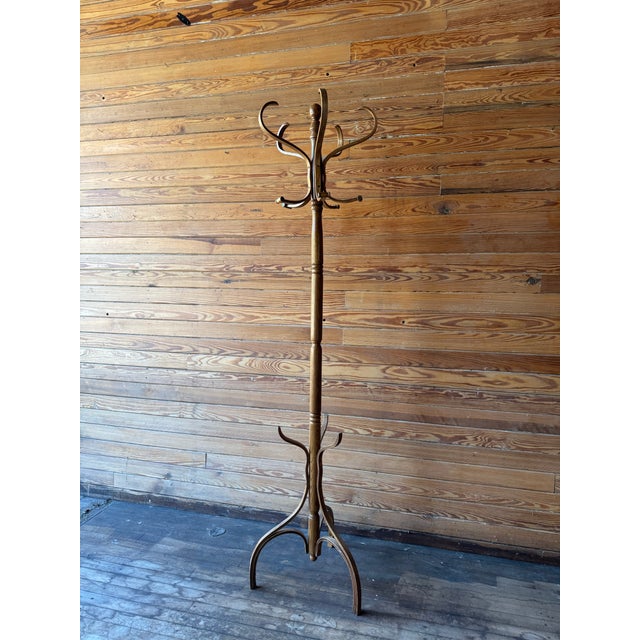 Camel Early 20th Century Thonet-Style Oak Bentwood Coat & Hat Rack/Hall Tree For Sale - Image 8 of 8