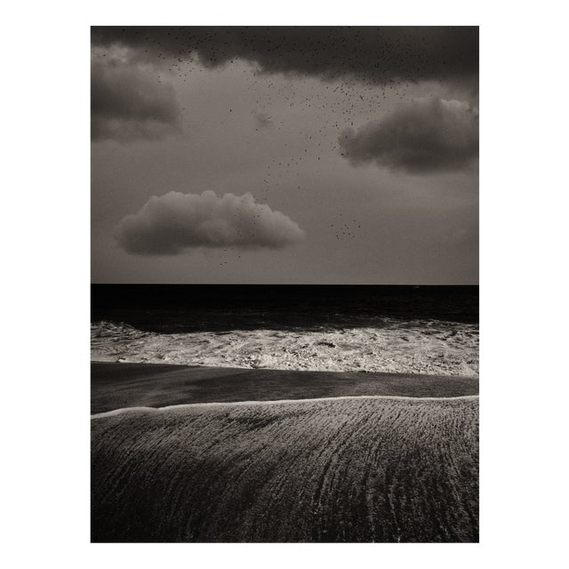 Jaume Llorens Bach, Gaia Diptych #117, Monochrome Photographic Print For Sale
