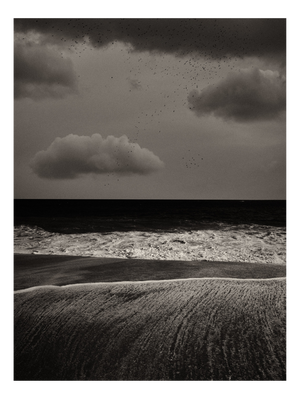 Jaume Llorens Bach, Gaia Diptych #117, Monochrome Photographic Print