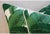24" Custom Tailored Tropical Lush Banana Leaf Feather/Down Pillows - Pair For Sale In Los Angeles - Image 6 of 9