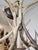 Antique Elk Antler Chandelier For Sale - Image 11 of 13