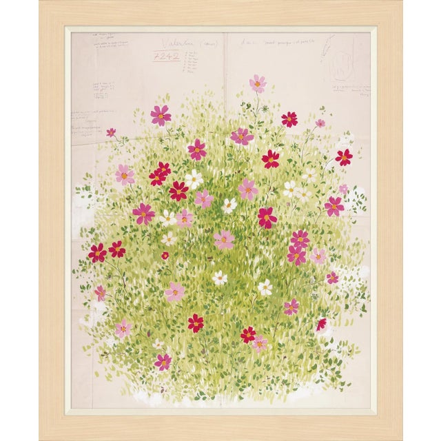 Valentina Art Print in Maple Frame by Paule Marrot For Sale