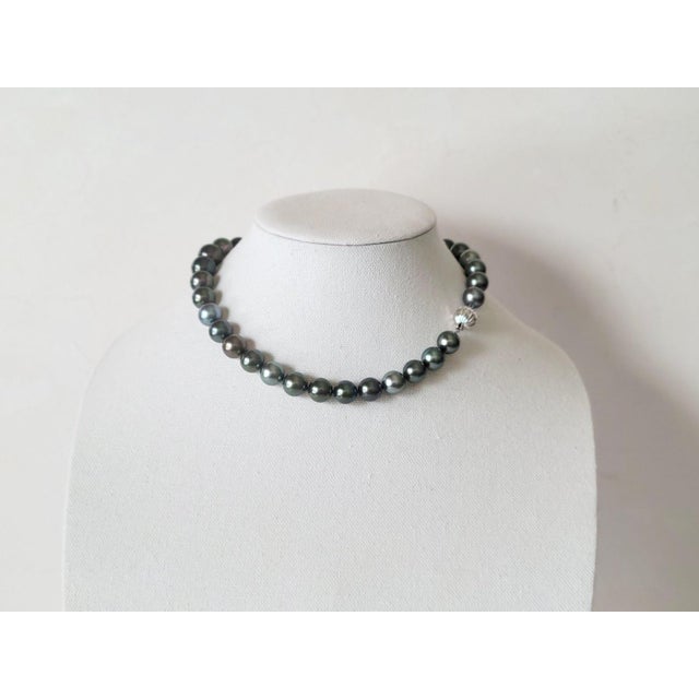 Early 21st Century South Sea Tahitian Black Pearl Necklace With 14k White Gold Clasp For Sale - Image 5 of 9