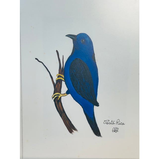 Pair vintage signed mixed media on paper Blue Birds