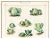 Date: c. 1920s Size: 16 x 22.5 inches A little cabbage trivia: Cabbage is from the family Cruciferae. Evidence shows...