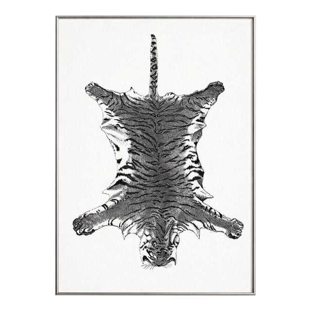 Fine Art Print of Vintage Tiger Animal Skin Illustration by Richard Lydekker. Animal Print For Sale