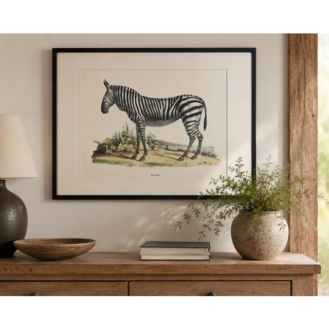 Vintage Karl Joseph Brodtmann Das Zebra Art Print | Framed Zebra Wall Art | German Natural History Lithograph Style | Safari Decor For Sale In Los Angeles - Image 6 of 7
