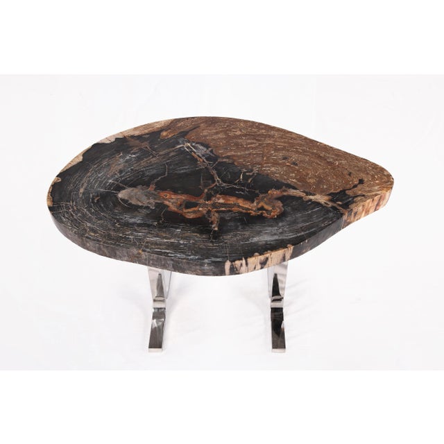 One Slab Living Edge Petrified Wood Console Table W Stainless Stand 52 For Sale - Image 4 of 6