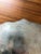 Silver Mid 20th Century Silverplate Footed Seafood Platter For Sale - Image 8 of 8