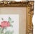 Rose Mid 20th Century Large Framed Pierre-Joseph Redouté "Rosa Gallica Pontiana" Botanical Reproduction Print For Sale - Image 8 of 12