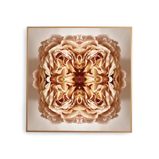 "Ancien" Contemporary Original Op Art Botanical Print by Erin Derby For Sale - Image 4 of 8