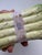 Herend Vintage Herend Asparagus Box For Sale - Image 4 of 7