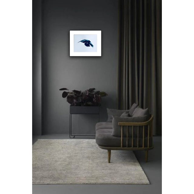 2020s "Flight 11" Contemporary Minimalist Bird Ink Drawing For Sale - Image 5 of 7