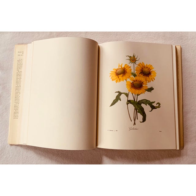 Redouté "Beautiful Flowers and Fruits" | Large Format Botanical Book For Sale - Image 17 of 18