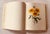 Redouté "Beautiful Flowers and Fruits" | Large Format Botanical Book For Sale - Image 17 of 18