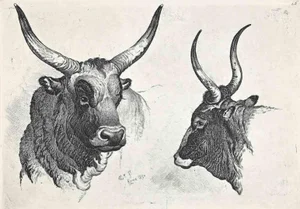 After Charles Coleman, The Bulls in the Roman Countryside, Original Etching, 1992