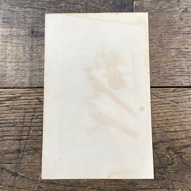 French Antique 18th Century "Le Touraco" Bird Engraving Hand Colored Signed Artwork For Sale - Image 9 of 9