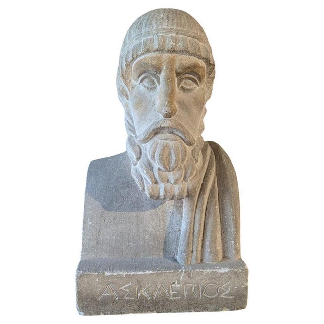French School Artist, Bust of Aesculapius, 19th Century, Stone For Sale - Image 13 of 13