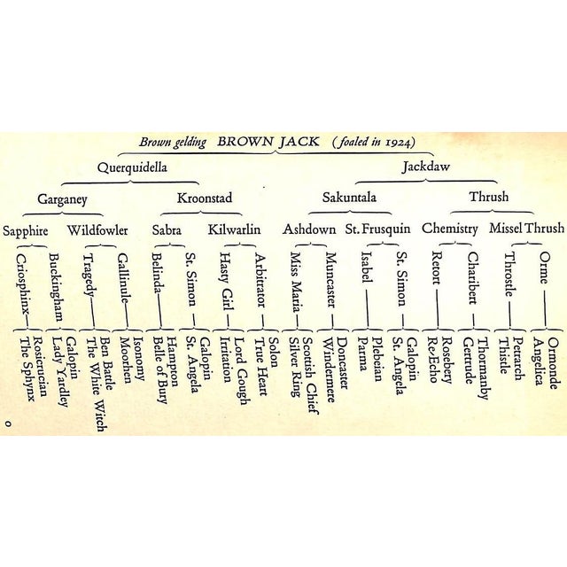 "Brown Jack" 1934 Lyle, r.c. For Sale In New York - Image 6 of 12